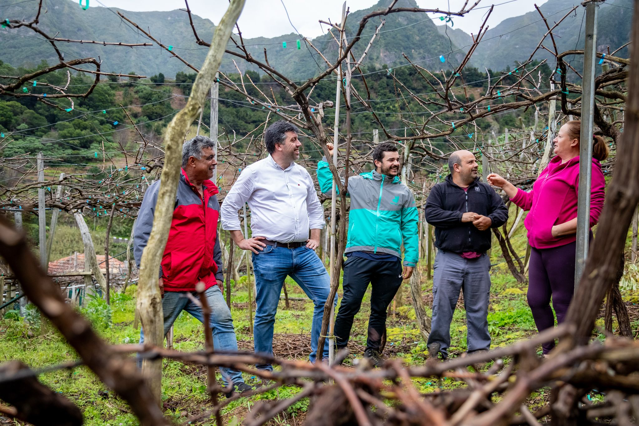 PSD realça mais valor à uva e aos produtores